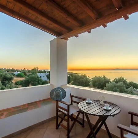 Apartment Theonis Naxos 30 Meters From The