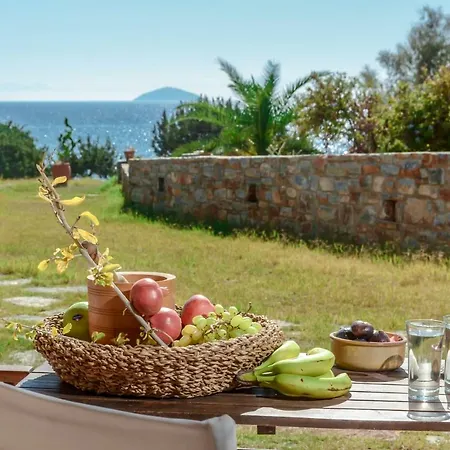 Theonis Naxos 30 Meters From The Apartment