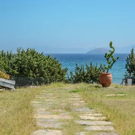 شقة Theonis Naxos 30 Meters From The Kanaki