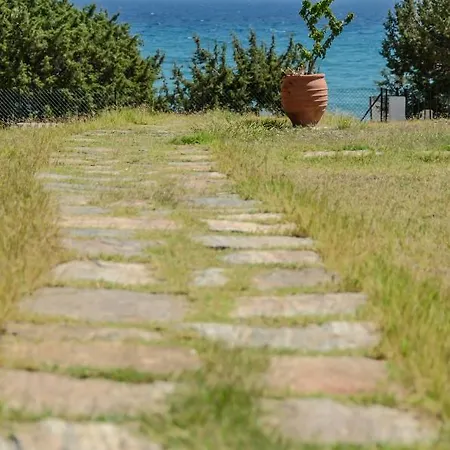 Theonis Naxos 30 Meters From The