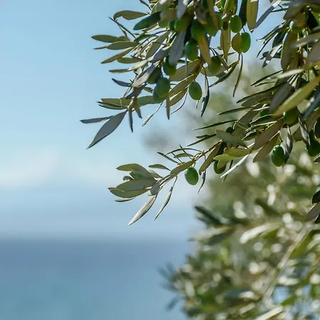 Theonis Villas Kanaki